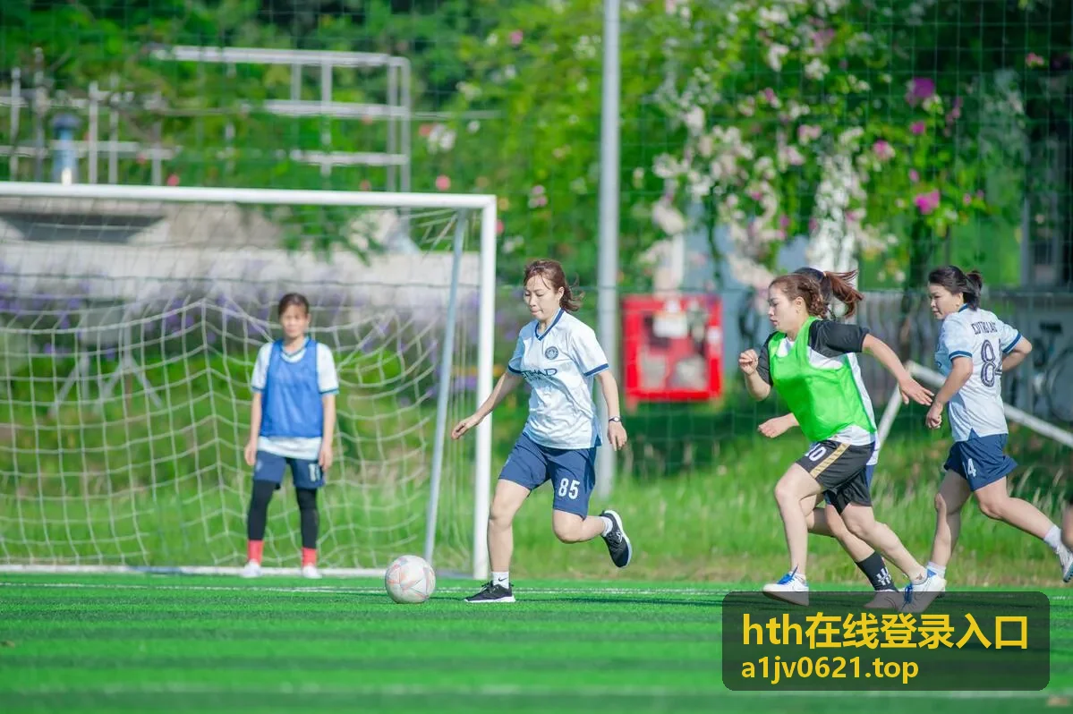 hth在线登录入口会员专属内容：账号安全设置详解